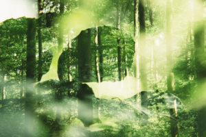 Springtime in Teutoburg Forest Springtime in Teutoburg Forest
